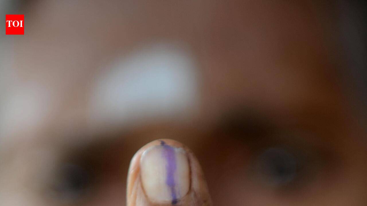 Punjab notifies re-election in 28 Patiala MC wards; polls by Nov 18
