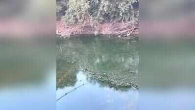 No other option: Townships forced to depend on polluted Mula water in Hinjewadi