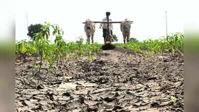 Monsoon deficit bites: 365 mandals across T declared drought-hit