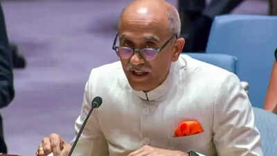 Can’t restrict veto to P5 in a reformed UNSC: India