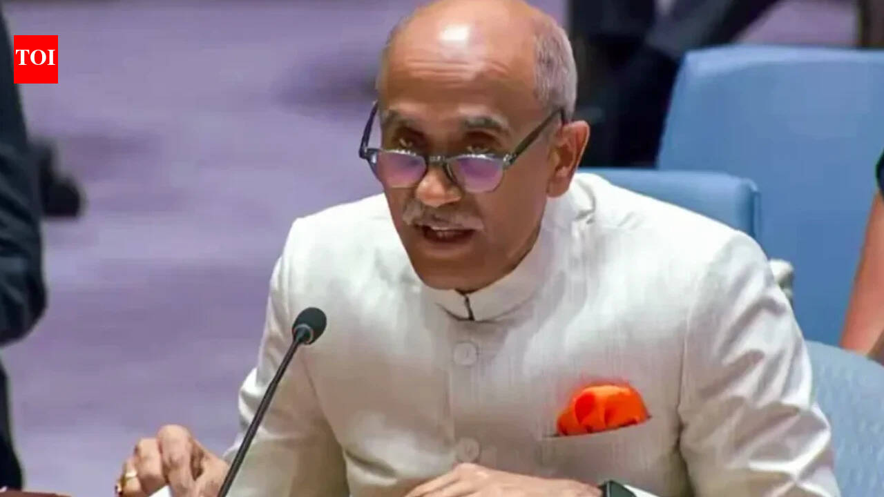 Can’t restrict veto to P5 in a reformed UNSC: India