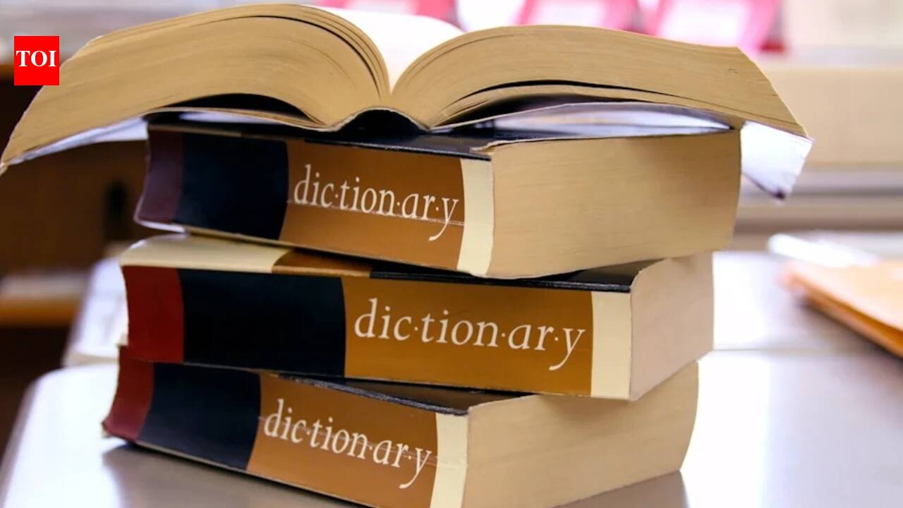 ‘Maxxing’ becomes Dictionary.com’s 2026 Word of the Year: What the viral term means and why it earned the spot