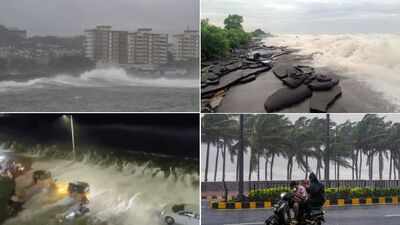 Watch: High tides, uprooted trees as Cyclone Arnab makes landfall along Andhra coast