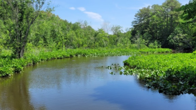 For more than 15 years, eight descendants negotiated the fate of inherited land along the Maryland-Delaware border; a conservation deal has now permanently protected 181 acres of forest and wetlands across two states