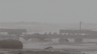 Watch: High tides, uprooted trees as Cyclone Arnab makes landfall along Andhra coast