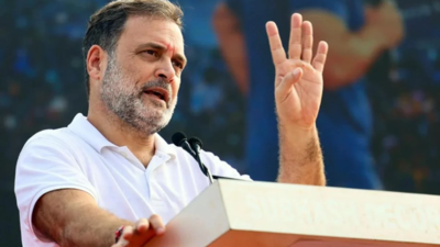 'We don't want a fight': Delhi traders' body writes to Rahul Gandhi again over November 1 rally