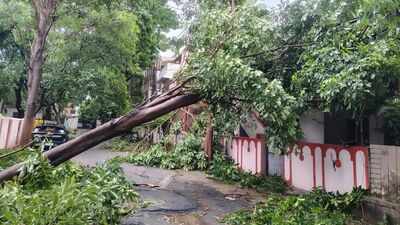 Cyclone Arnab: 2 dead, several flights, over 50 trains cancelled as storm hits Andhra, Odisha