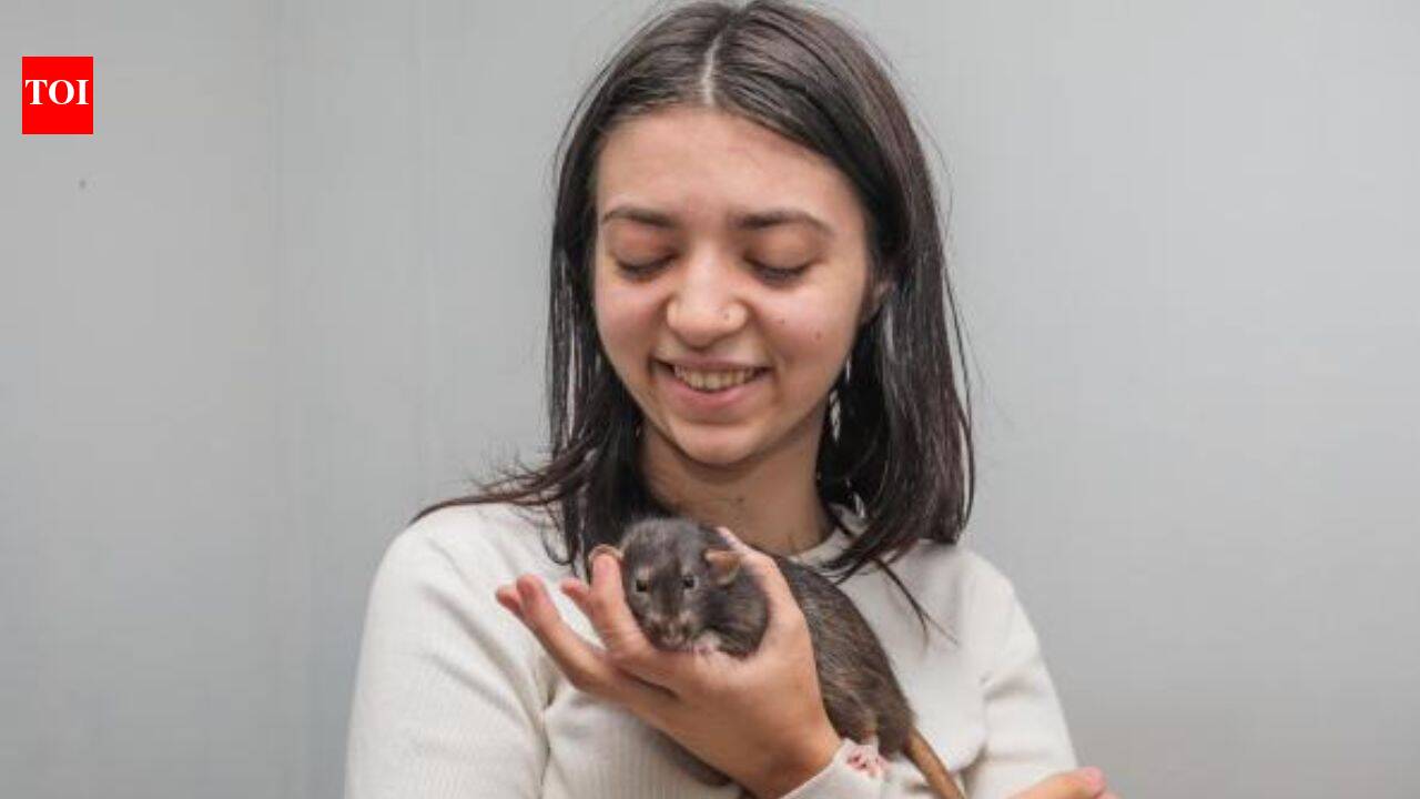 British university student turns her pet rats into viral miniature artists
