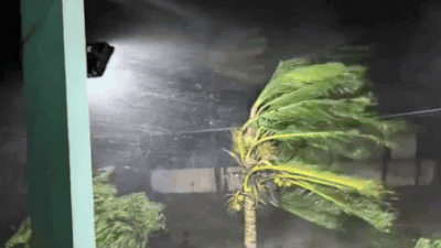 Cyclone Arnab: 2 dead, over 50 trains, several flights cancelled; Andhra, Odisha worst-hit