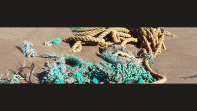Hawaii turns abandoned fishing nets into electricity to power over 300 homes while fighting ocean pollution and protecting marine wildlife