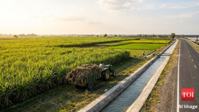 Sweetening the soil and Strengthening the roots: The transformation of Lakhimpur Kheri under the Yogi regime