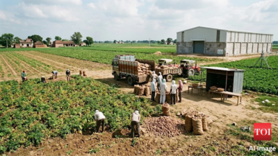 Farrukhabad’s potato economy: From farm produce to a stronger agri-value chain