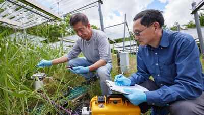 Scientists ran a 12-year grassland experiment in Oklahoma and found that warming cut soil carbon by 12.2% under drought but raised it by 6.7% in wet conditions