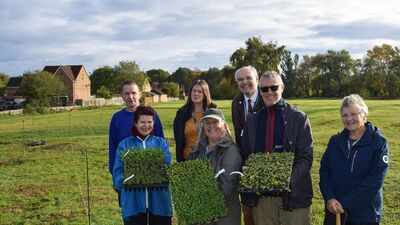 Hundreds of native wildflowers planted at a Norfolk recreation ground to create a meadow for bees, butterflies and other wildlife