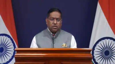22 Indians, including 14 seafarers, killed in West Asia conflict: MEA