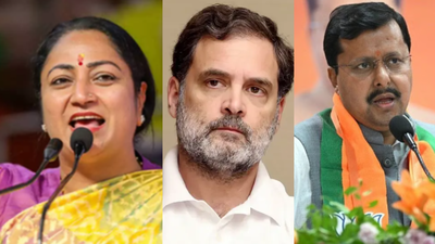 ‘Save democracy, remove anarchy’: BJP marches in Chandni Chowk as Congress readies November 1 rally, and traders count the cost