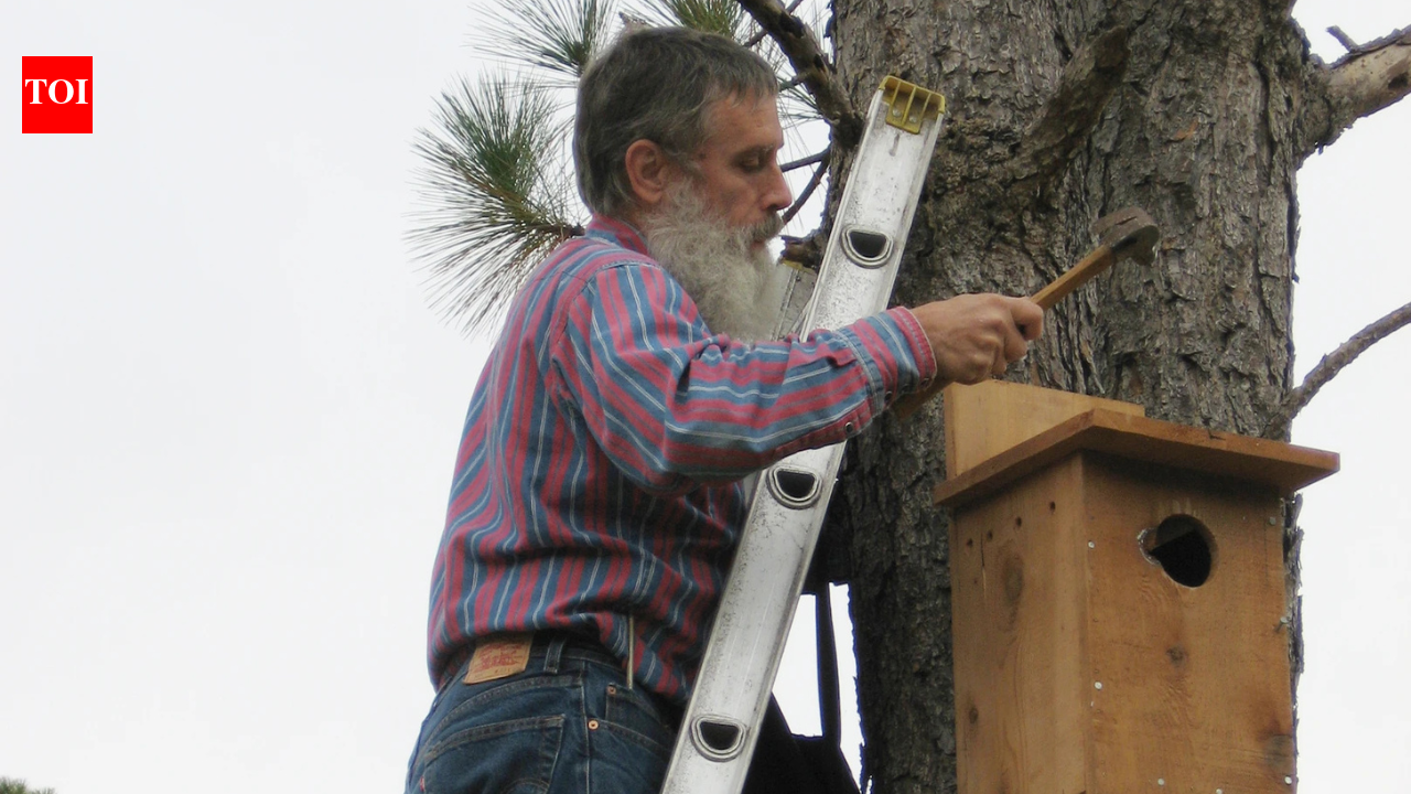He spent 50 years saving our forests—now a new trail honors his 'quiet legacy' of protecting the wild.