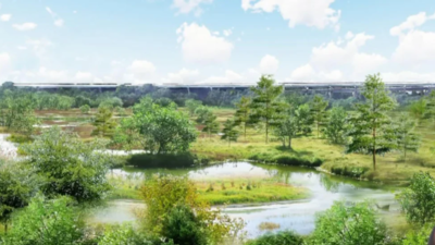 In 2022, workers began turning an illegal dumping ground at Philadelphia's FDR Park into a wetland; by 2026, 33 acres had been restored with 7,000 trees and new space for birds and turtles