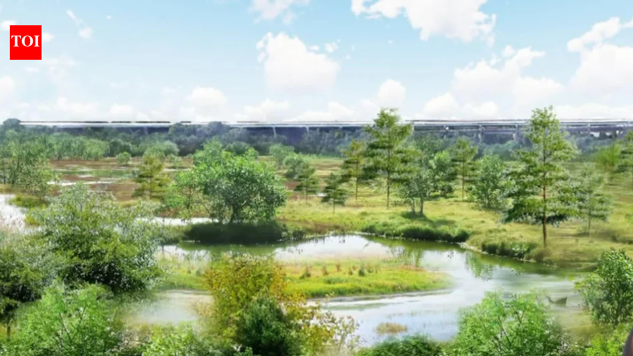 Since 2022, workers have turned an illegal dump in FDR Park into a 33-acre wetland with 7,000 trees