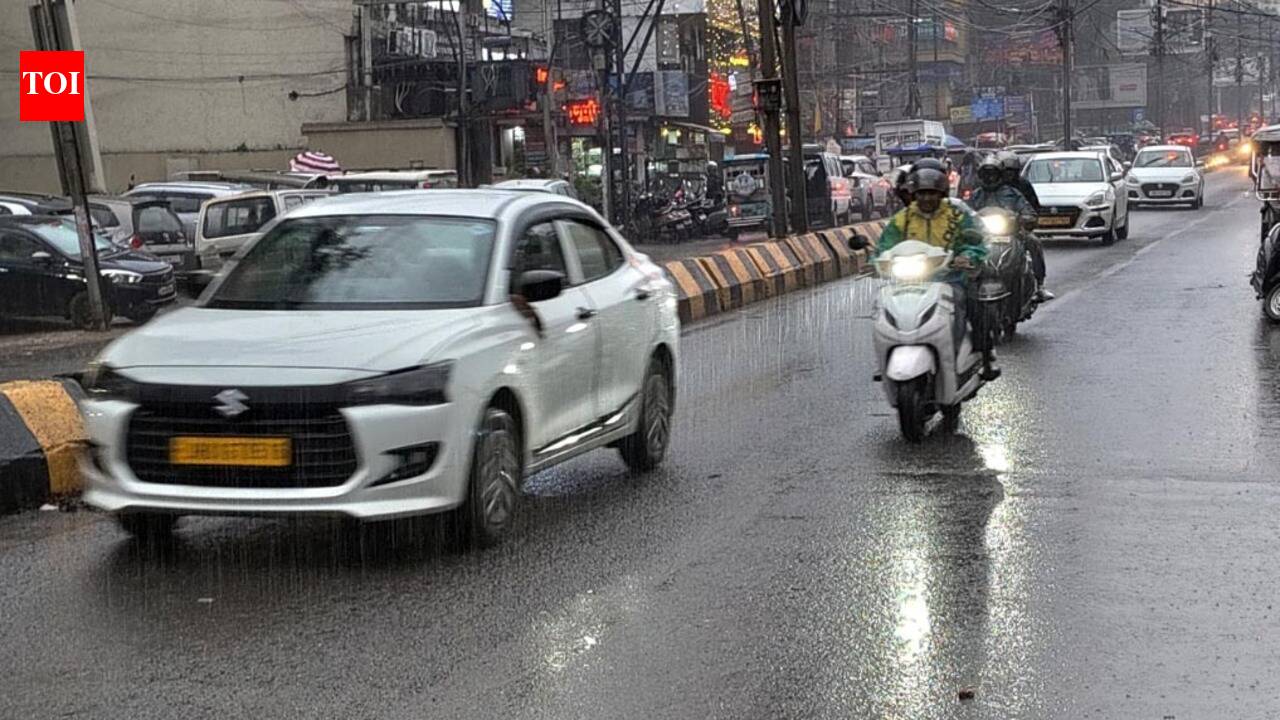 Image accompanying Festival shopping across state may be hit by inclement weather, from The Times of India
