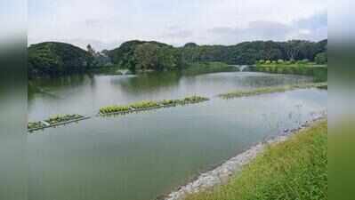Lakes, forests, Lalbagh and defence land in Greater Bengaluru Authority’s road plans