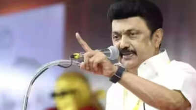 DMK seeks President Droupadi Murmu's intervention over SIR, demands action against CEC