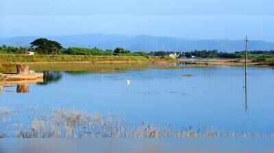 Karnataka proposes uniform buffer norms for lakes, drains outside Bengaluru