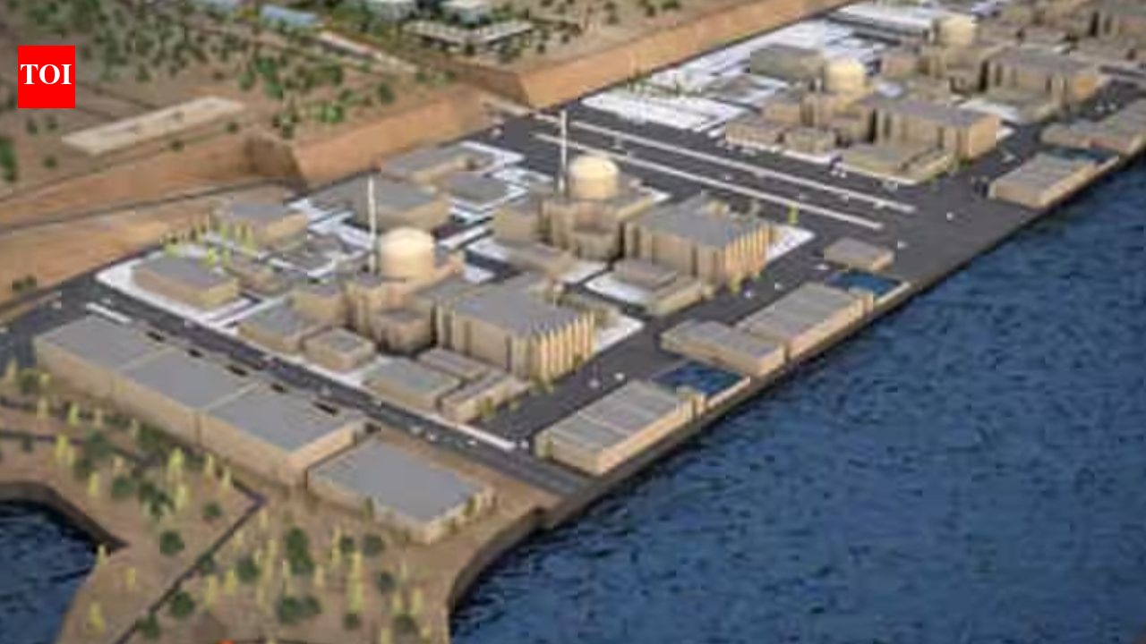 Mumbai's power needs put Jaitapur nuclear project back in focus