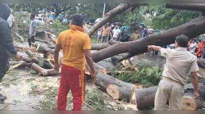 Cyclone Arnab batters Bhubaneswar, uproots trees,  brings down puja pandal, forces flight suspension