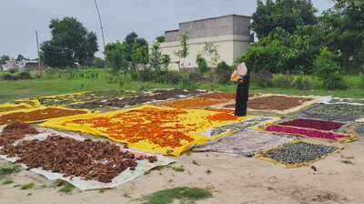Kashi temple flowers find new life as incense, dhoop and herbal ...