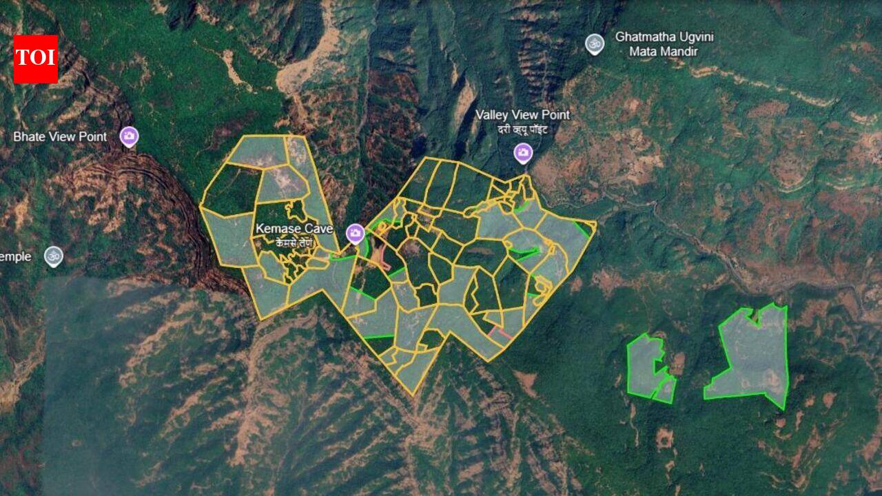 252 hectares of private land in Satara transferred to forest department ...