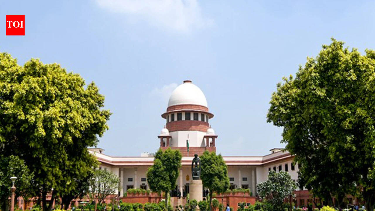 SC warns it may bar bail in digital arrest cases targeting seniors