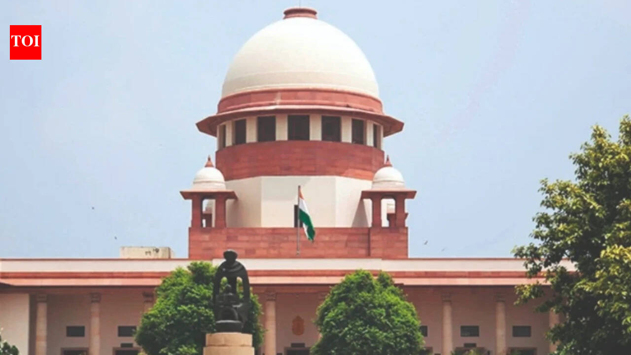 Yet to test legality of logical discrepancy in SIR: Supreme Court