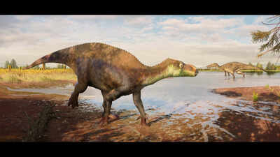 A 125-million-year-old dinosaur from Southern England's then-Swamps gets named after a 'Surrey dad' who loved fossils: Meet Paludohadros proudlovii