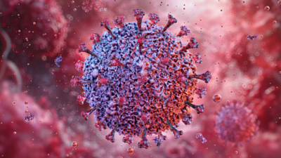 An animal-borne virus called Shamonda, which normally circulates in livestock, has infected and killed a human for the first time on record, raising fresh questions about diseases that jump from animals to people