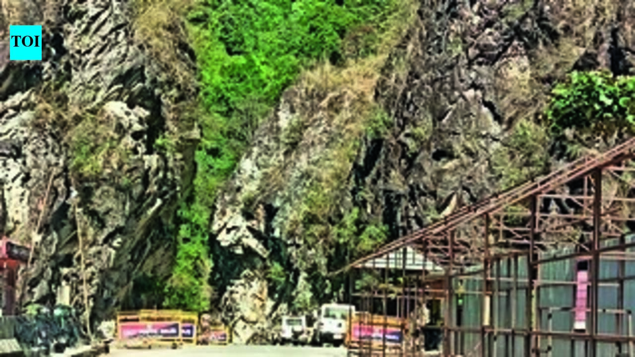 Forces fortify key Arunachal bridge to fight dam objectors | India News  timesofindia.indiatimes.com