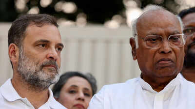 'Vote chori' row: INDIA bloc to hold 'mock Parliament' to 'impeach' CEC Gyanesh Kumar; mega rally on Nov 1