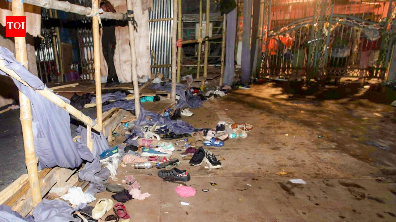 It only takes one rumour: How a small trigger can lead to a deadly stampede