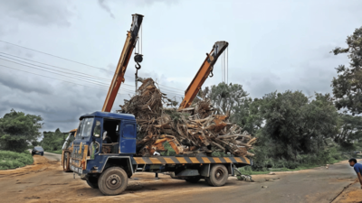 A Hyderabad developer building a 150-acre residential project faced losing around 800 mango trees to a link road, so he bought another plot and spent six to eight months moving the trees instead of cutting them down