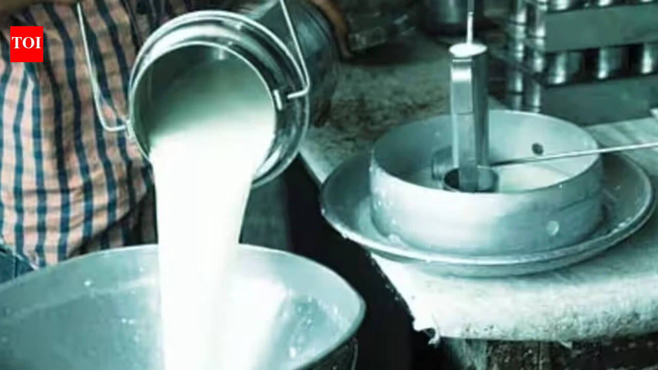 Karnataka hikes milk prices by Rs 8 per litre from Nov 1