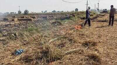 Burning 1 tonne of paddy straw destroys 400kg organic carbon, PAU experts warn