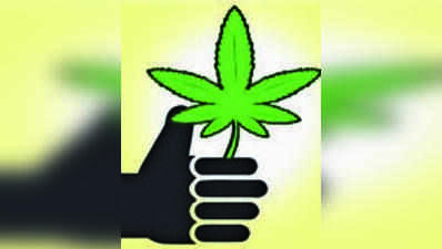 Two men held in Ahmedabad with 9.9kg of ganja worth Rs 5 lakh they were smuggling from Odisha to Junagadh