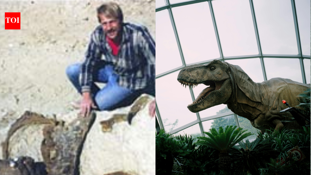 T. rex 'Stan', found in South Dakota in 1987, now stands in Abu Dhabi