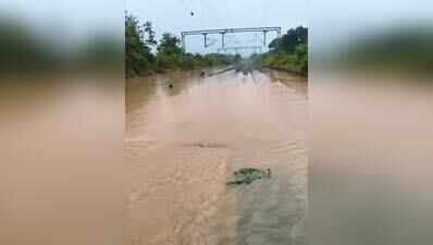 Howrah-Chennai mainline blocked after river swells, trains diverted