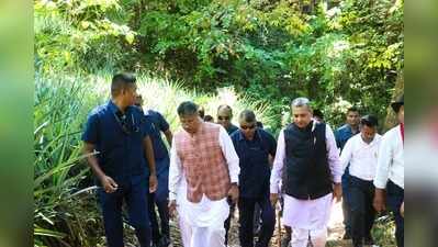 Assam pushes for pineapple & oil palm farming in Barak Valley