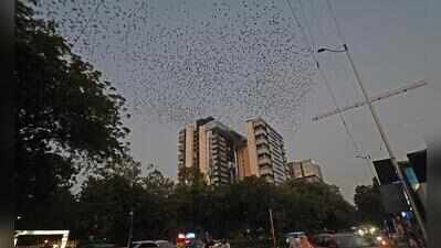 Cyclone Arnab effect: City experiences cloudy weather, drizzle