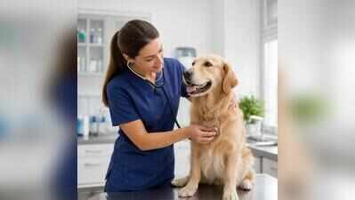 Govt plans four-tier veterinary network, 24/7 emergency response and animal ambulances