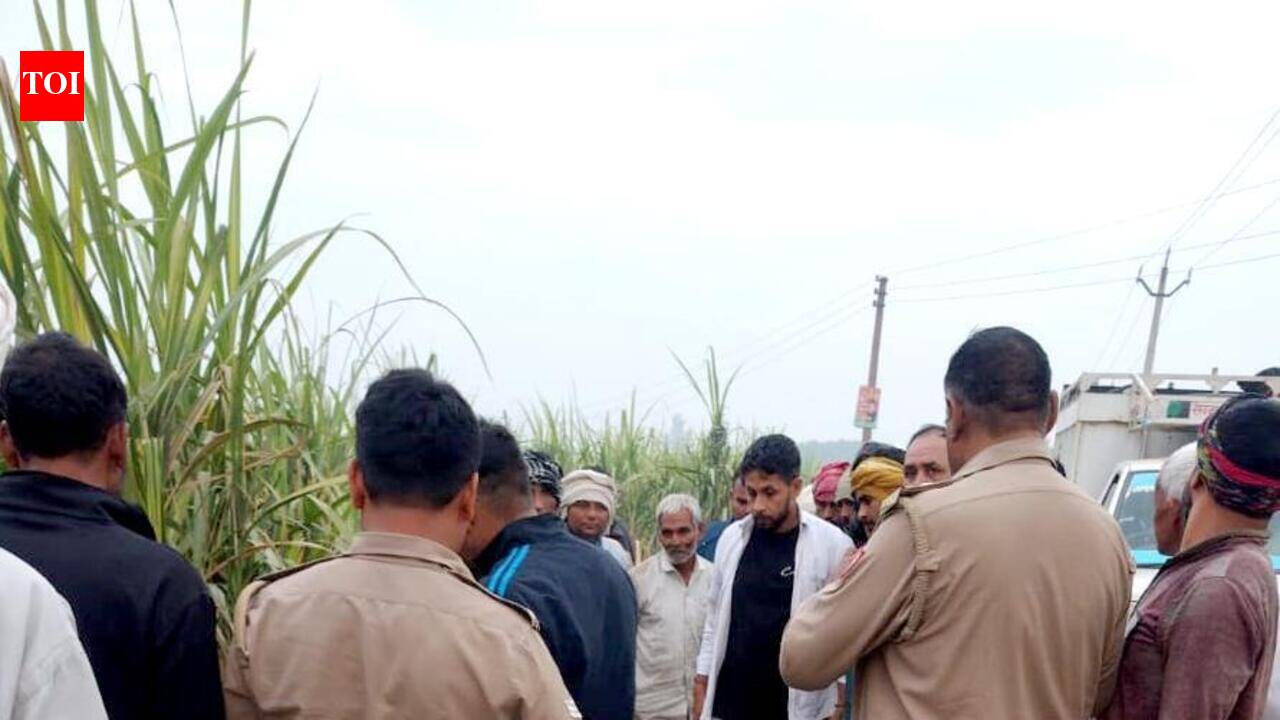 Man found dead by road in Ghaziabad's Masuri, cops suspect hit & run