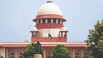 Firecracker ban: No point in passing orders without enforcement, says SC