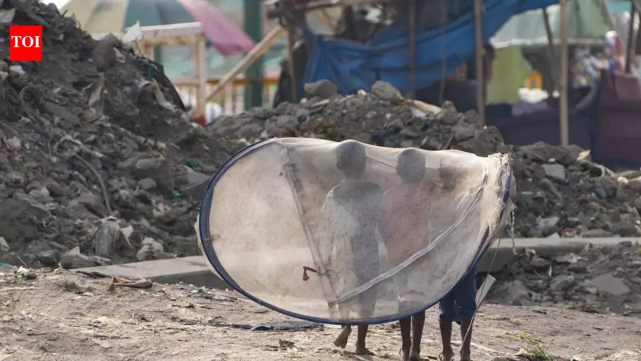 World Bank: 496 million Indians escaped poverty between 2011 and 2023